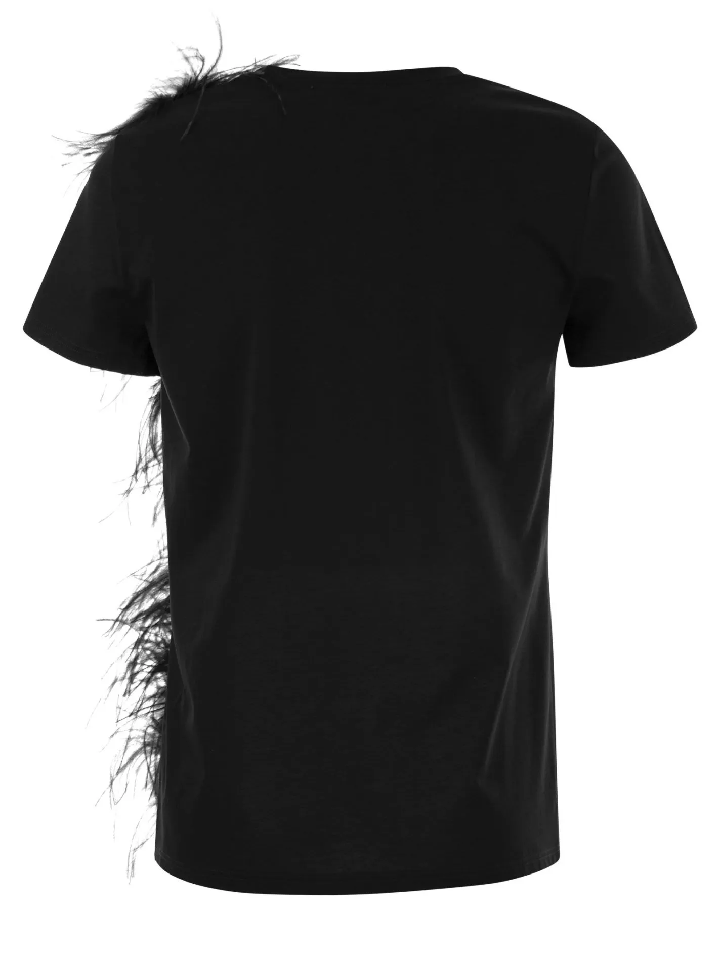 LAPPOLE – Jersey T-shirt with feathers