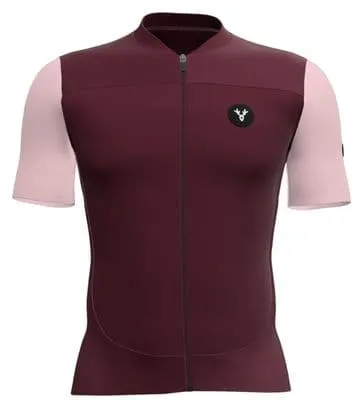 LeBram Ventoux Uni Short Sleeves Jersey Framboise